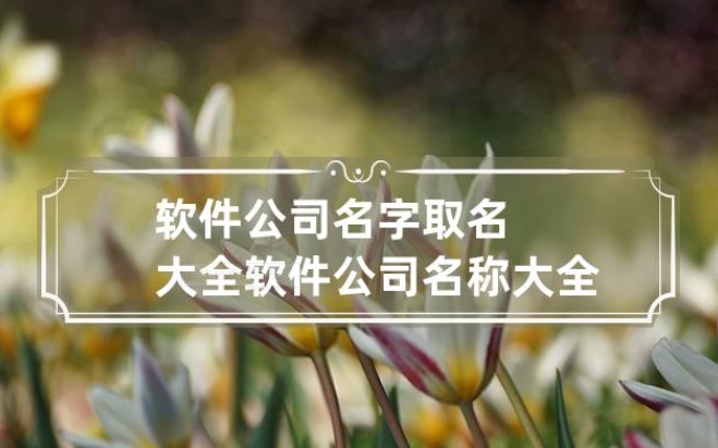 临沂软件公司名叫什么好听易记